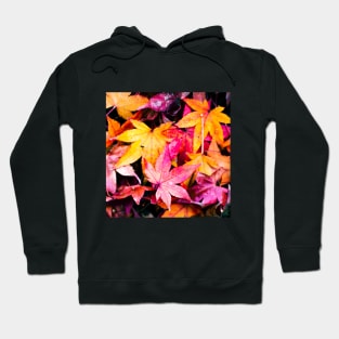 Photography - Petrichor Hoodie